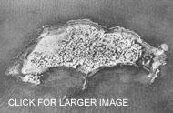 Arwad seen from air in 1934.