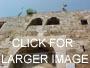 Arwad photo